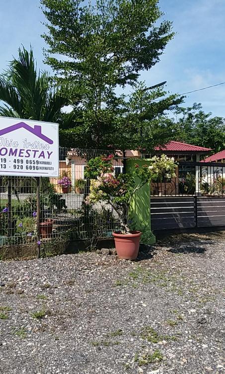 Dhia Irdina Homestay Paya Rewak المظهر الخارجي الصورة